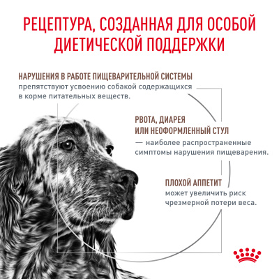 Сухой корм Royal Canin GASTROINTESTINAL для собак при нарушении пищеварения, 2 кг.