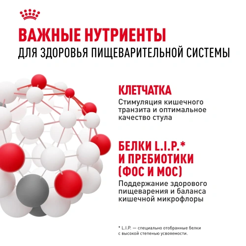 Сухой корм Royal Canin DIGESTIVE CARE для собак круп. пород для поддержания пищеварит. системы 3кг