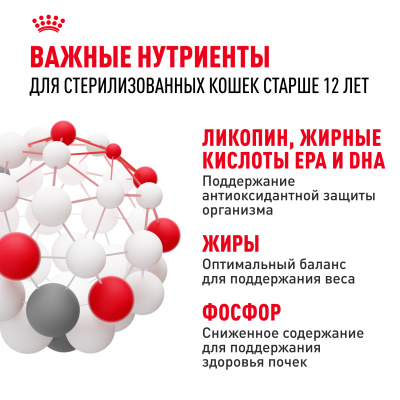 Royal Canin Ageing Sterilised 12+ Сухой корм для кастрированных котов и стерилизованных кошек старше 12 лет, 2 кг