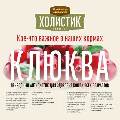 Сухой корм Деревенские лакомства ХОЛИСТИК ПРЕМЬЕР для котят с курицей 400 г
