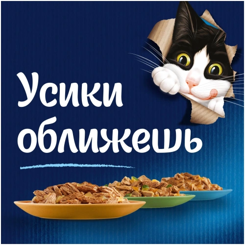 Влажный корм Felix Аппетитные Кусочки Форель 26x75г