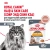 Royal Canin Intense Beauty Care Консервированный корм для кошек - красивая шерсть, соус, 85 г Royal Canin Intense Beauty Care Консервированный корм для кошек - красивая шерсть, соус, 85 г