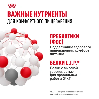 Сухой корм Royal Canin Sensible 33 для взрослых кошек с чувствительным пищеварением 1,2 кг