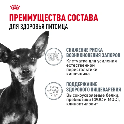 Royal Canin Digestive Care Mini Сухой корм для собак мелких пород с чувствительным пищеварением, 1 кг