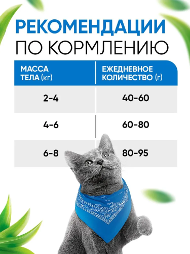 Сухой корм DELICANA  для взрослых кошек  с лососем 0,4кг 