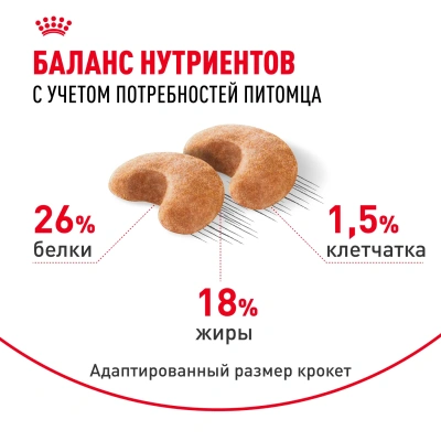 Royal Canin French Bulldog Adult Сухой корм для собак породы Французский бульдог, 3 кг