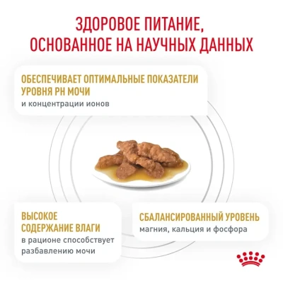 Влажный ветеринарный корм Royal Canin Urinary S/O для кошек при проблемах мочевыводящих путей, 85гр