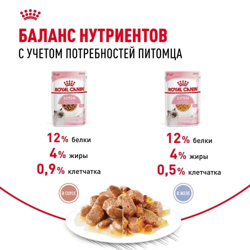Влажный корм Royal Canin для котят ( 5 в соусе 5 в желе) 10*85г