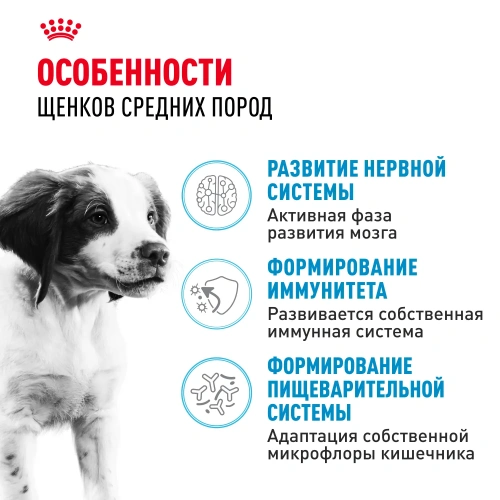 Сухой корм Royal Canin Medium PUPPY для щенков средних пород, 3кг