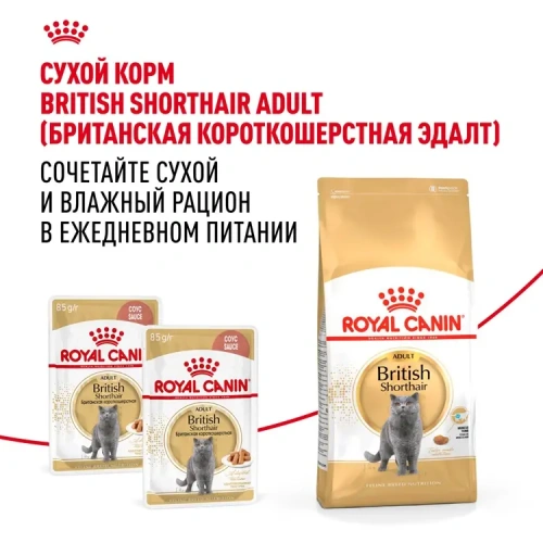 Royal Canin British Shorthair Консервированный корм для взрослых кошек породы Британская короткошерстная, 85 г