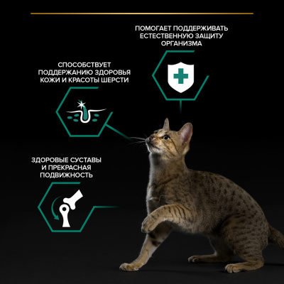 Purina Pro Plan Adult Консервированный корм для взрослых кошек, индейка в желе, 85