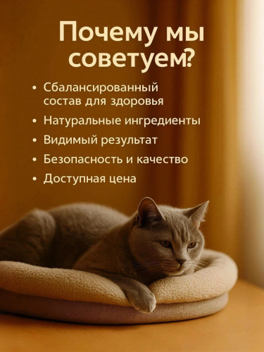 Сухой корм Delish Super Premium для кошек  Говядина с рисом, 2 кг