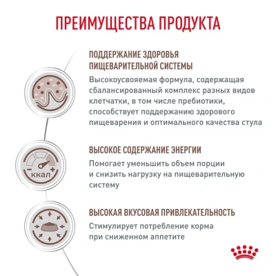 Влажный диетический корм для кошек Royal Canin Gastro Intestinal кусочки в соусе, 85 г