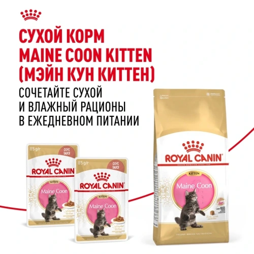 Влажный корм Royal Canin Maine Coon Kitten, корм для котят породы мейн-кун в соусе, 28*85 г