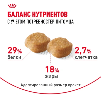 Сухой корм Royal Canin Yorkshire Terrier Adult 8+ для собак, йоркширский терьер старше 8 лет 1,5кг