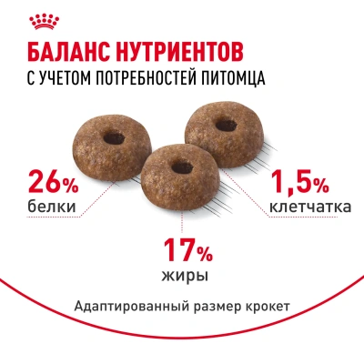 Royal Canin Mini Dermacomfort Сухой корм для собак, 1 кг