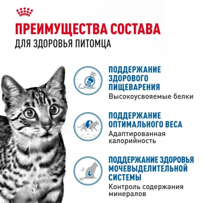 Влажный корм для кошек Royal Canin Indoor Sterilised кусочки в соусе, 85 г