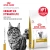 Royal Canin Urinary S/O Сухой корм для взрослых кошек, 400 г