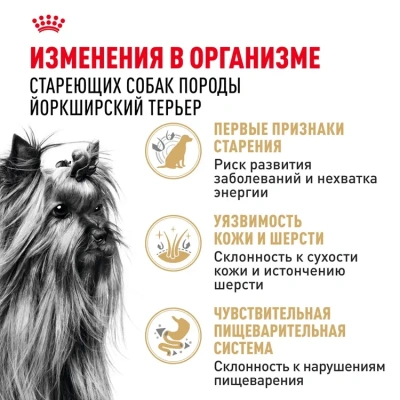 Royal Canin Yorkshire Terrier Adult 8+ Сухой корм для собак породы Йоркширский терьер - старше 8 лет, 500 г