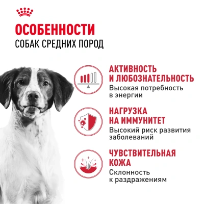 Royal Canin Medium Adult Корм сухой для взрослых собак средних пород с 12 месяцев до 7 лет, 15 кг