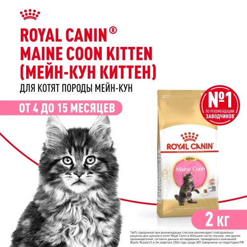 ROYAL CANIN Maine Coon Корм сухой для Котят породы Мейн-Кун, 2 кг