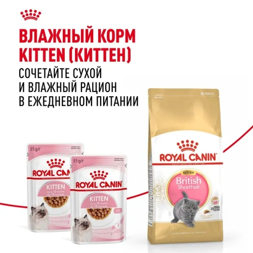 ROYAL CANIN British Shorthair Корм сухой для котят породы Британская короткошерстная, 400 г