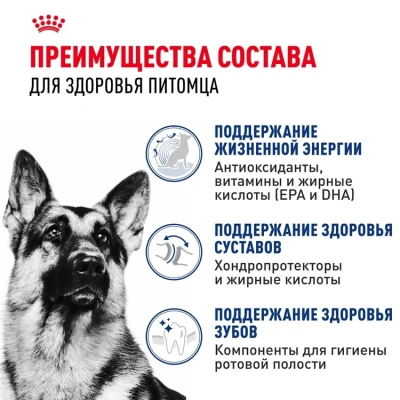 Сухой корм ROYAL CANIN MAXI ADULT 5+ для собак крупных пород старше 5 лет 4 кг