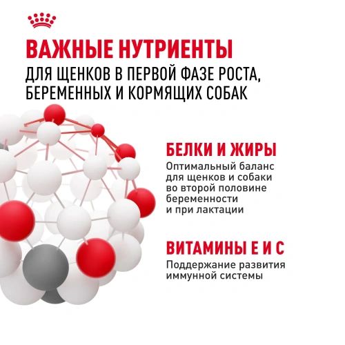 Сухой корм Royal Canin Maxi Starter для щенков крупных пород, беременных и кормящих 4 кг