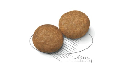 Royal Canin Medium Adult Корм сухой для взрослых собак средних пород с 12 месяцев до 7 лет, 15 кг