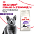 Royal Canin Sterilised 7+ Сухой корм для кастрированных котов и стерилизованных кошек 7-12 лет, 3,5 кг