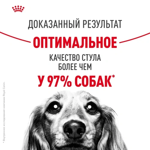 Сухой корм Royal Canin DIGESTIVE CARE для собак средних пород для поддержания пищеварит. системы 3кг