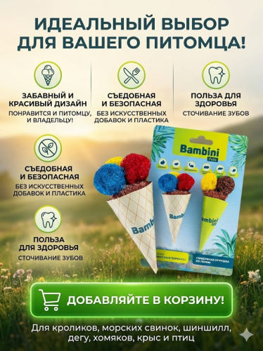 Игрушка Bambini Pets для грызунов "Мороженое рожок" из люфы,  2 шт