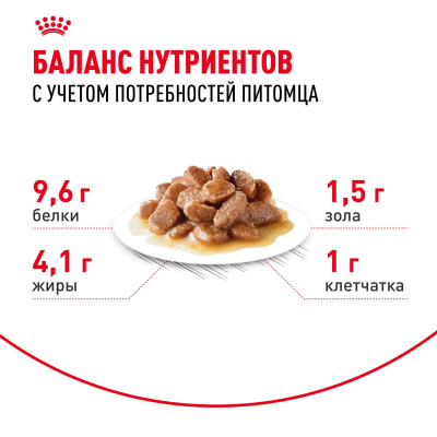 Royal Canin Ageing 12+  Консервированный корм для кошек старше 12 лет,  в соусе 28x85г.