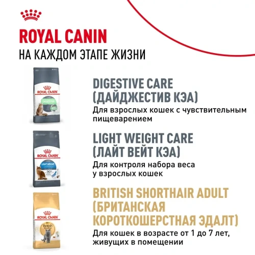 ROYAL CANIN British Shorthair Корм сухой для котят породы Британская короткошерстная, 400 г