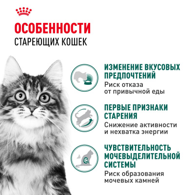 Влажный корм Royal Canin Instinctive 7+ для кошек старше 7 лет, кусочки в соусе  85г