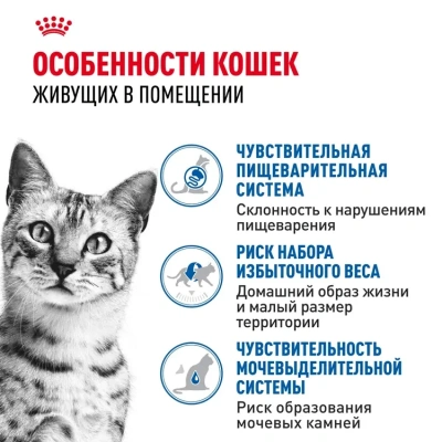 Влажный корм для кошек Royal Canin Indoor Sterilised кусочки в соусе, 85 г