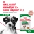 Влажный корм Royal Canin Mini Ageing 12+, для собак мелких пород 12+ в соусе, 85г Влажный корм Royal Canin Mini Ageing 12+, для собак мелких пород 12+ в соусе, 85г