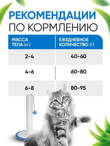 Сухой корм DELICANA  для стерилизованных кошек и кастрированных котов с лососем 0,4 кг 