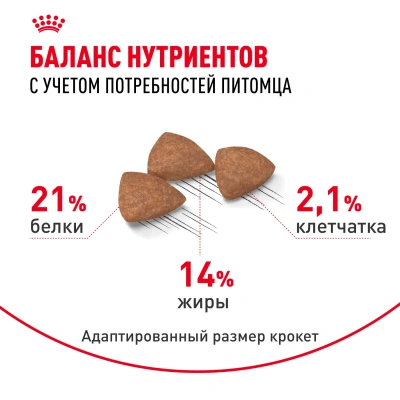 Сухой корм Royal Canin Indoor Life Adult для собак мелких живущих в помещении 3 кг