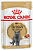Royal Canin British Shorthair Консервированный корм для взрослых кошек породы Британская короткошерстная, 85 г