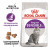 ROYAL CANIN Sensible 33 Сухой корм для кошек с чувствительным пищеварением, 400 г ROYAL CANIN Sensible 33 Сухой корм для кошек с чувствительным пищеварением, 400 г