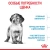 Сухой корм Royal Canin Medium PUPPY для щенков средних пород, 3кг