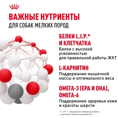 Влажный корм Royal Canin MINI ADULT для взрослых собак мелких пород 85 г