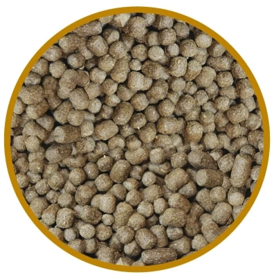 Корм Зоомир Тортила Корм для сухопутных черепах, гранулы 150г