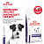 Сухой корм Royal Canin NEUTERED ADULT Small Dog, для стерилизованных собак мелких пород 0,8 кг