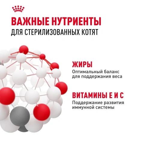 Влажный корм Royal Canin Kitten Sterilised, корм для стерилизованных котят в соусе, 28*85 г