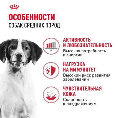 Royal Canin Medium Adult Сухой корм для собак средних пород, 3 кг