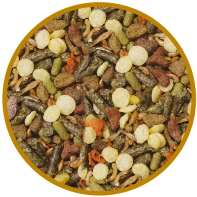 Корм Зоомир Тортила Корм для сухопутных черепах 170г