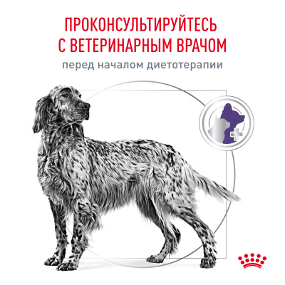 Сухой корм Royal Canin Neutered Adult для стерилизованных собак средних пород 3,5 кг