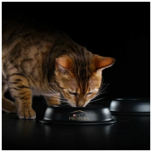 Сухой корм Pro Plan Cat Adult Sterilised для стерилизованных кошек с уткой и печенью - 1,5 кг